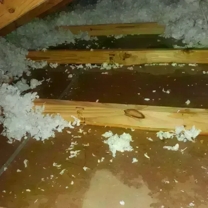 Attic Water Damage in Hudson Lake, IN